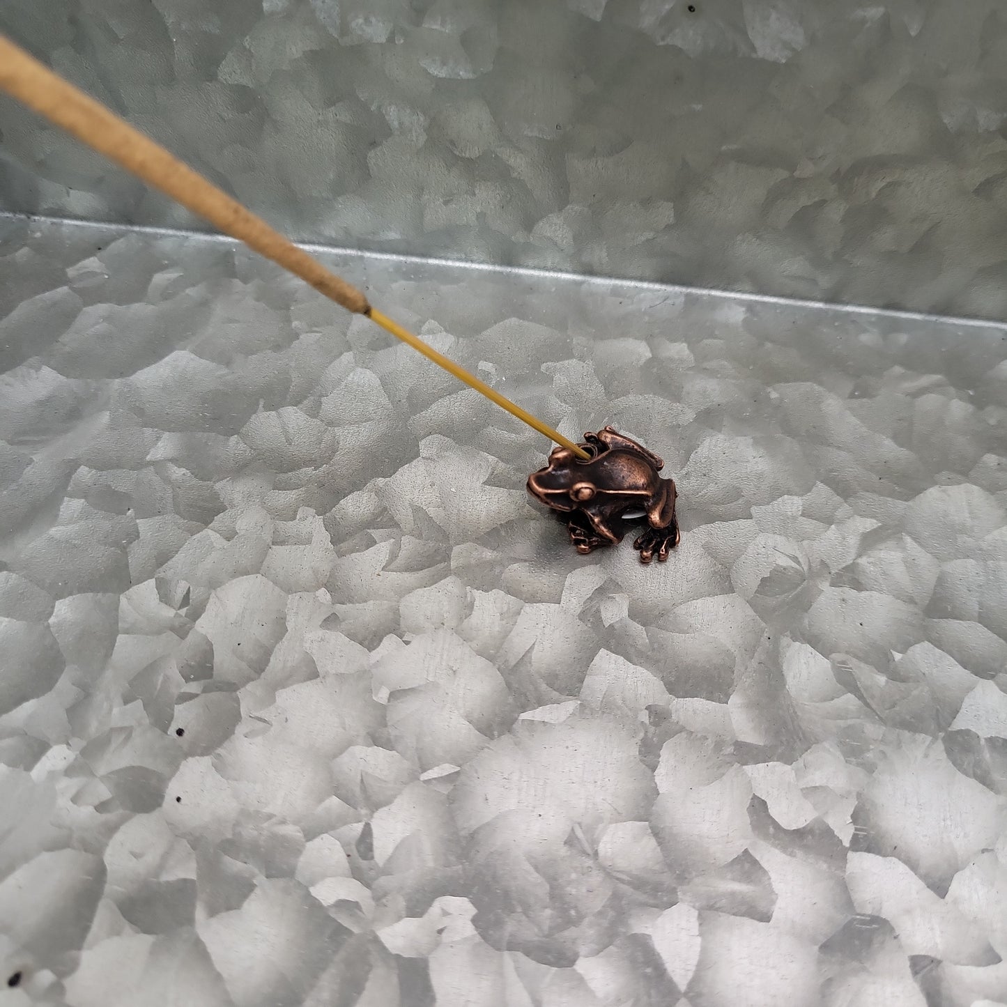 Small Frog